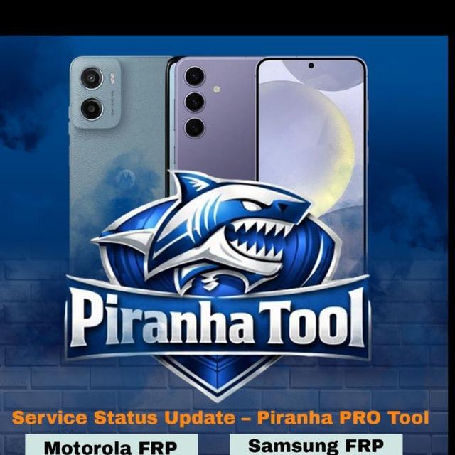 Piranha Tool 6 Months